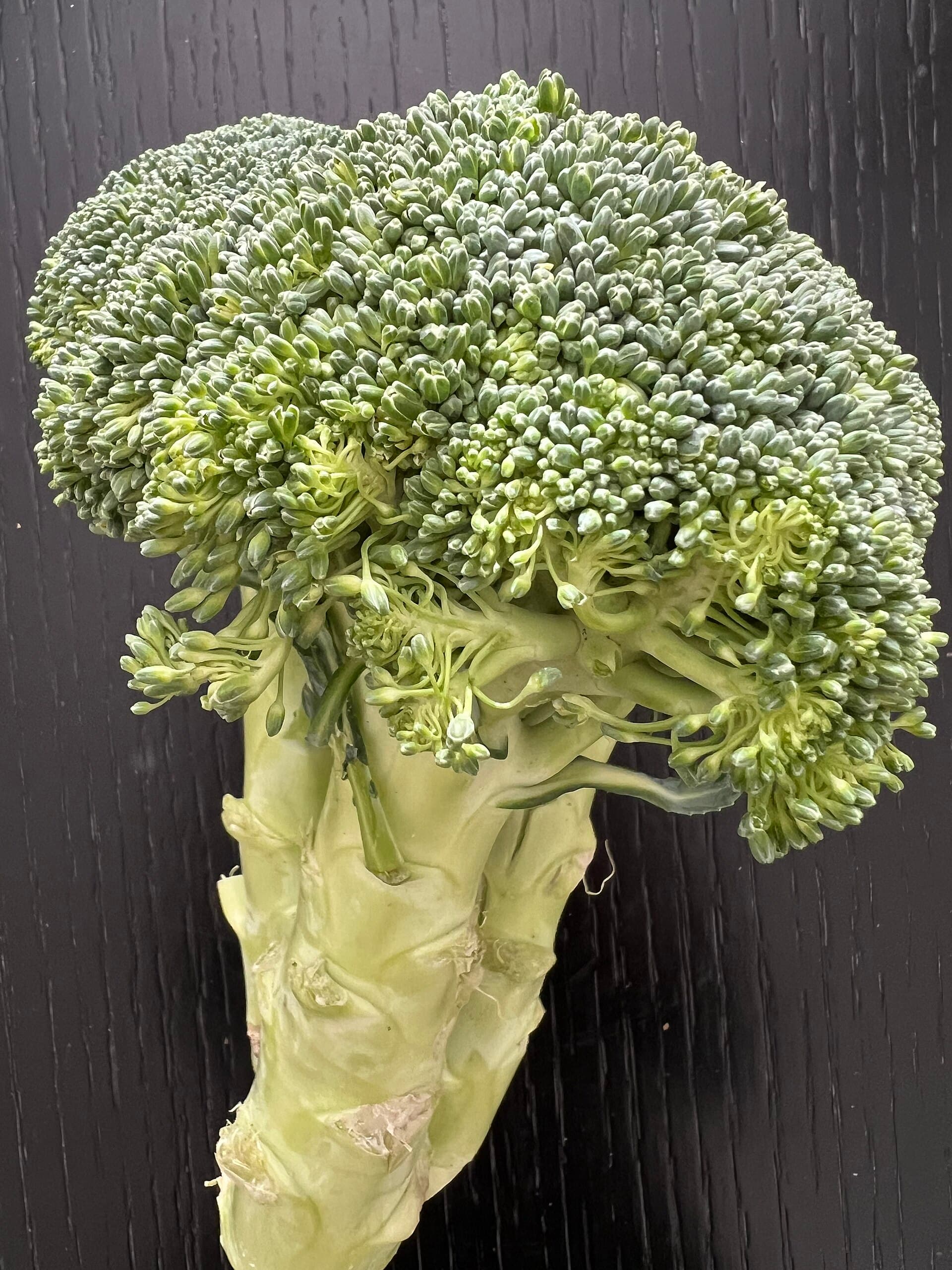 Tenderstem Broccoli