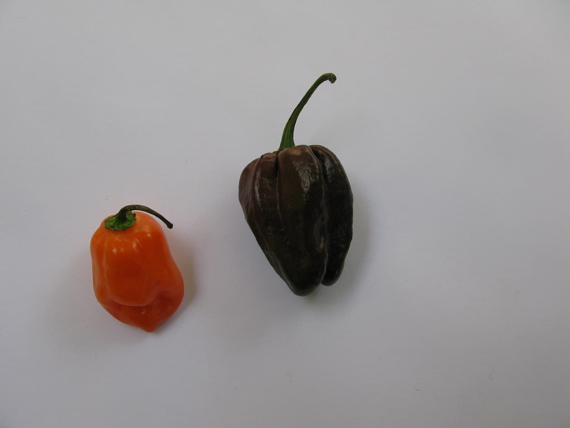 Red Habanero